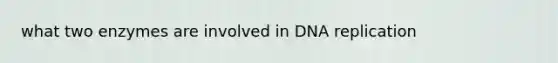 what two enzymes are involved in DNA replication