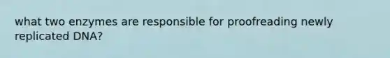 what two enzymes are responsible for proofreading newly replicated DNA?