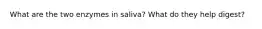 What are the two enzymes in saliva? What do they help digest?