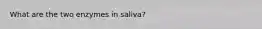 What are the two enzymes in saliva?