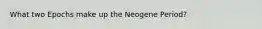 What two Epochs make up the Neogene Period?