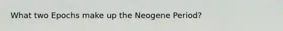 What two Epochs make up the Neogene Period?