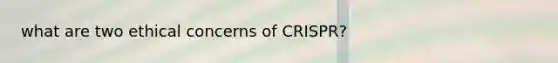 what are two ethical concerns of CRISPR?