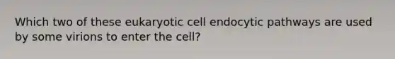 Which two of these eukaryotic cell endocytic pathways are used by some virions to enter the cell?