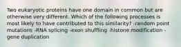 Two eukaryotic proteins have one domain in common but are otherwise very different. Which of the following processes is most likely to have contributed to this similarity? -random point mutations -RNA splicing -exon shuffling -histone modification -gene duplication