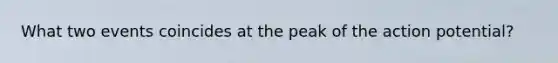 What two events coincides at the peak of the action potential?