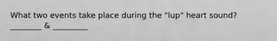 What two events take place during the "lup" heart sound? ________ & _________