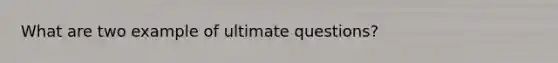 What are two example of ultimate questions?