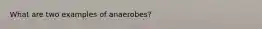 What are two examples of anaerobes?