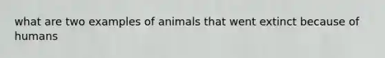 what are two examples of animals that went extinct because of humans