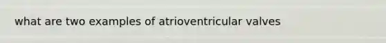 what are two examples of atrioventricular valves