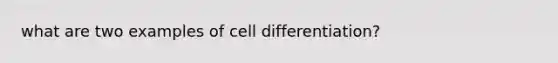 what are two examples of cell differentiation?