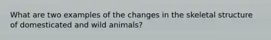 What are two examples of the changes in the skeletal structure of domesticated and wild animals?