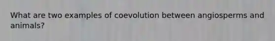 What are two examples of coevolution between angiosperms and animals?