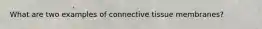 What are two examples of connective tissue membranes?