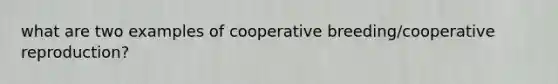 what are two examples of cooperative breeding/cooperative reproduction?