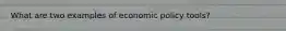 What are two examples of economic policy tools?