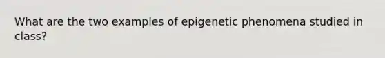 What are the two examples of epigenetic phenomena studied in class?