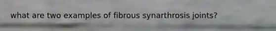what are two examples of fibrous synarthrosis joints?