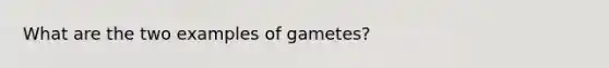 What are the two examples of gametes?