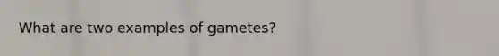 What are two examples of gametes?