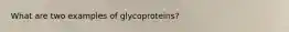 What are two examples of glycoproteins?