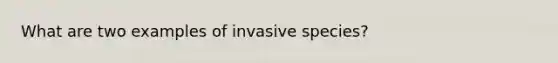 What are two examples of invasive species?