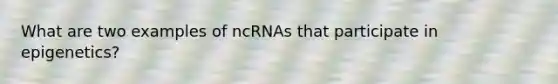 What are two examples of ncRNAs that participate in epigenetics?