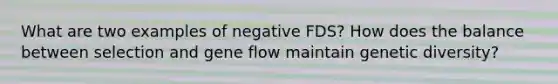 What are two examples of negative FDS? How does the balance between selection and gene flow maintain genetic diversity?