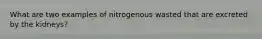 What are two examples of nitrogenous wasted that are excreted by the kidneys?