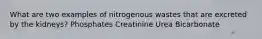 What are two examples of nitrogenous wastes that are excreted by the kidneys? Phosphates Creatinine Urea Bicarbonate