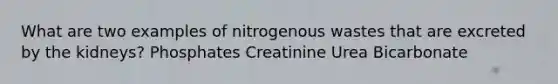 What are two examples of nitrogenous wastes that are excreted by the kidneys? Phosphates Creatinine Urea Bicarbonate