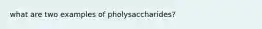 what are two examples of pholysaccharides?