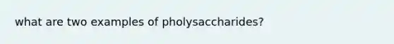 what are two examples of pholysaccharides?