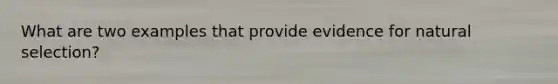 What are two examples that provide evidence for natural selection?