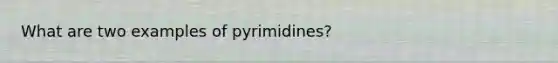 What are two examples of pyrimidines?