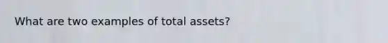 What are two examples of total assets?