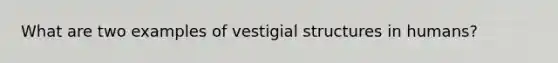 What are two examples of vestigial structures in humans?