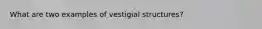 What are two examples of vestigial structures?