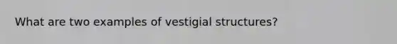 What are two examples of vestigial structures?