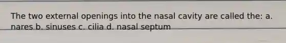 The two external openings into the nasal cavity are called the: a. nares b. sinuses c. cilia d. nasal septum