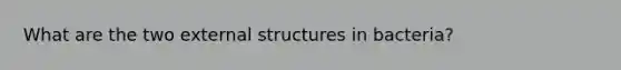 What are the two external structures in bacteria?