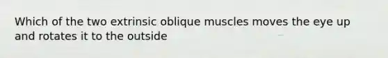 Which of the two extrinsic oblique muscles moves the eye up and rotates it to the outside