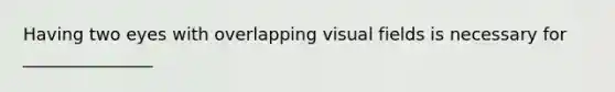 Having two eyes with overlapping visual fields is necessary for _______________