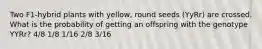 Two F1-hybrid plants with yellow, round seeds (YyRr) are crossed. What is the probability of getting an offspring with the genotype YYRr? 4/8 1/8 1/16 2/8 3/16