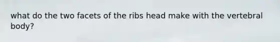 what do the two facets of the ribs head make with the vertebral body?