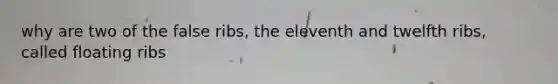 why are two of the false ribs, the eleventh and twelfth ribs, called floating ribs