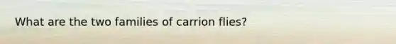 What are the two families of carrion flies?