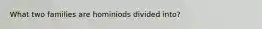 What two families are hominiods divided into?