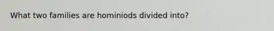 What two families are hominiods divided into?